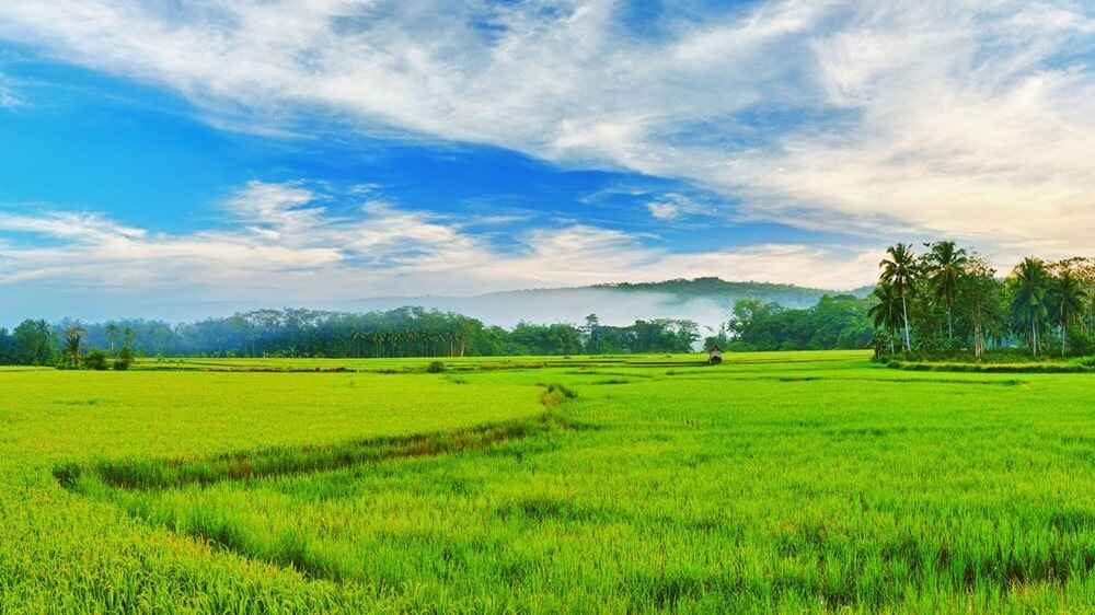 എന്റെ നാട്