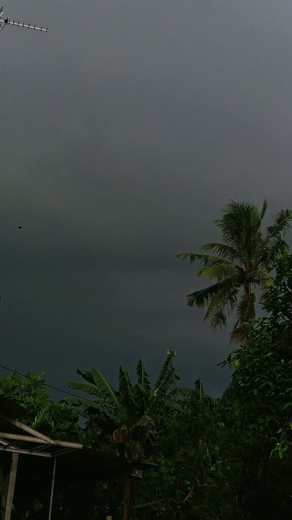ഒരു വൈകുന്നേരം