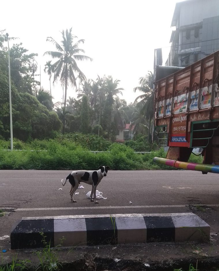 ഓർക്കാപ്പുറത്ത് ഒരു സൗഹൃദം