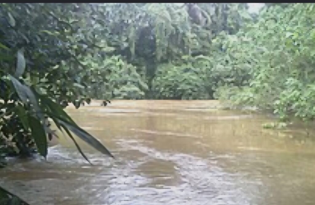 അന്നും മഴയായിരുന്നു