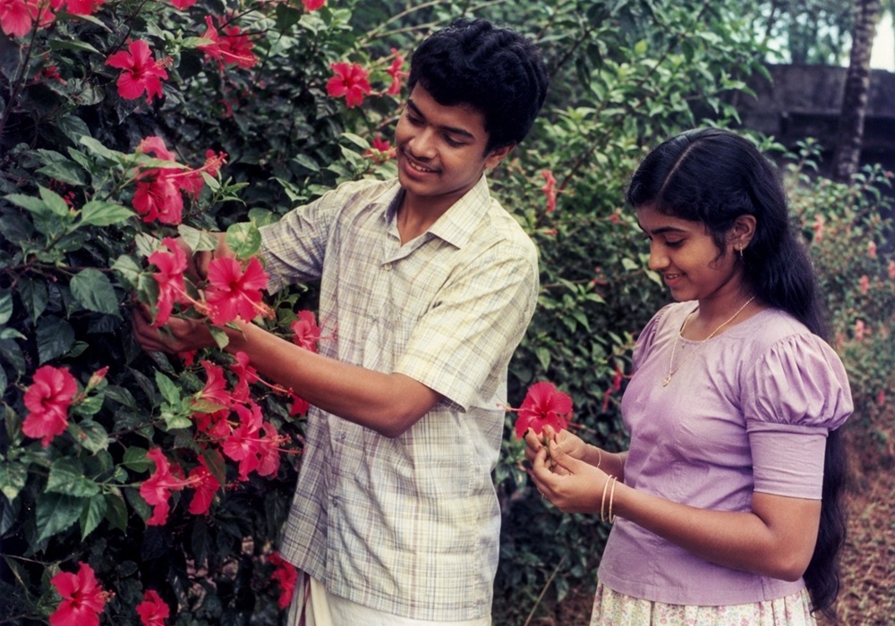 സുന്ദരിപ്പൂവ്